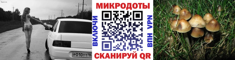 закладка Карабаш Галлюциногенные грибы Cubensis